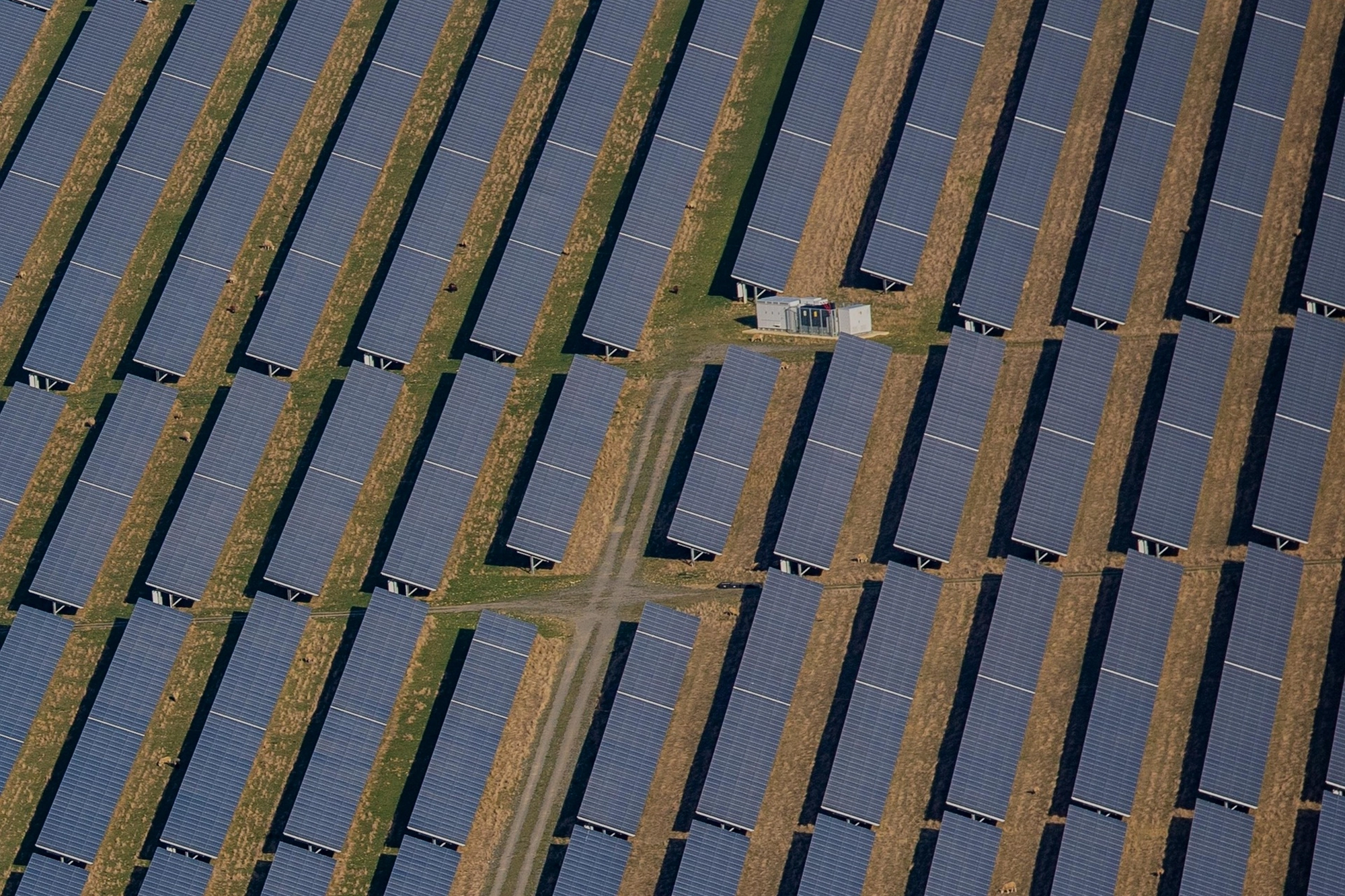 APN Sonu Tyagi Solar